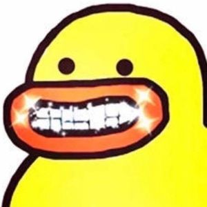 Meet your Posher, Ellen